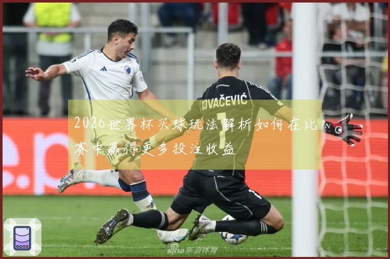 2026世界杯买球玩法解析如何在比赛中赢得更多投注收益