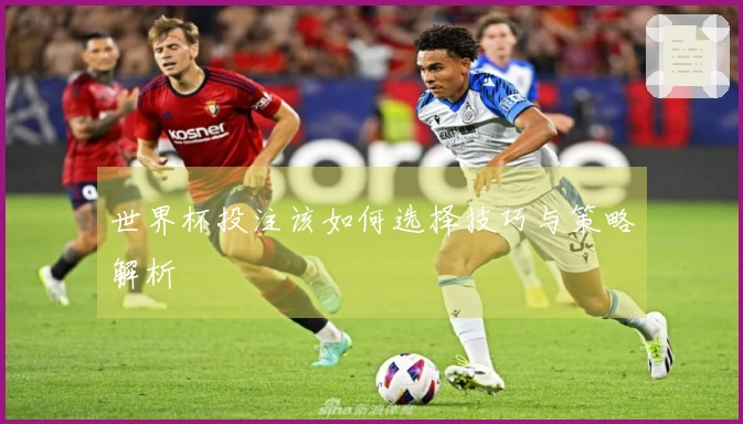 世界杯投注该如何选择技巧与策略解析