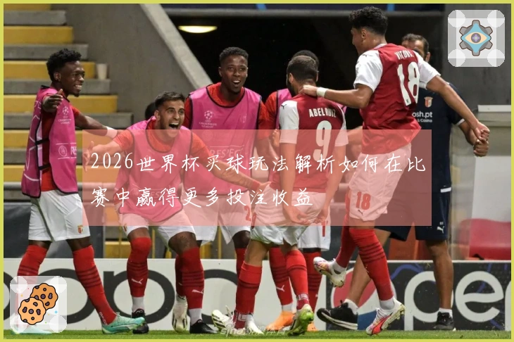 2026世界杯买球玩法解析如何在比赛中赢得更多投注收益