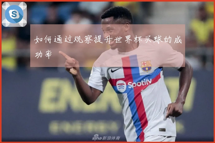 如何通过观察提升世界杯买球的成功率