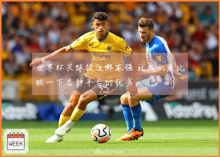 世界杯买球投注哪家强 让我们来比较一下各种平台的优劣