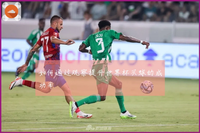 如何通过观察提升世界杯买球的成功率
