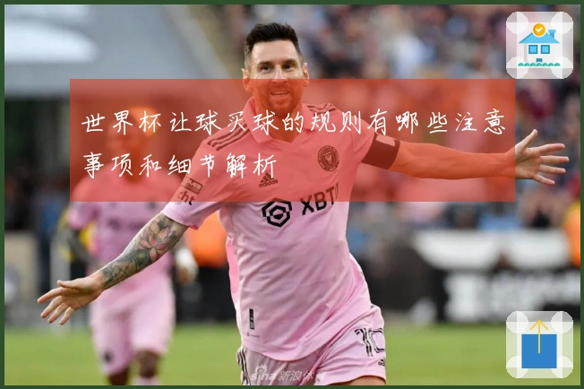 世界杯让球买球的规则有哪些注意事项和细节解析