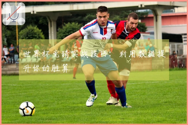 世界杯竞猜实战技巧：利用数据提升你的胜算