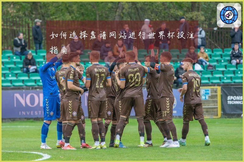 如何选择靠谱网站进行世界杯投注指南