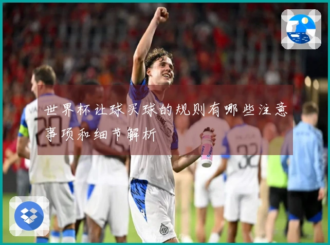 世界杯让球买球的规则有哪些注意事项和细节解析