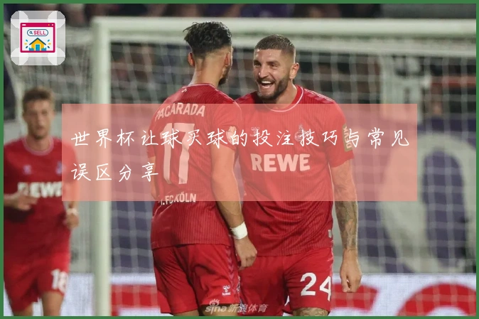 世界杯让球买球的投注技巧与常见误区分享