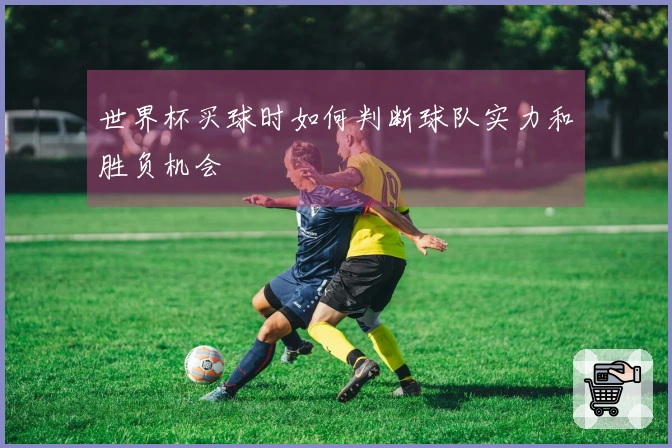 世界杯买球时如何判断球队实力和胜负机会