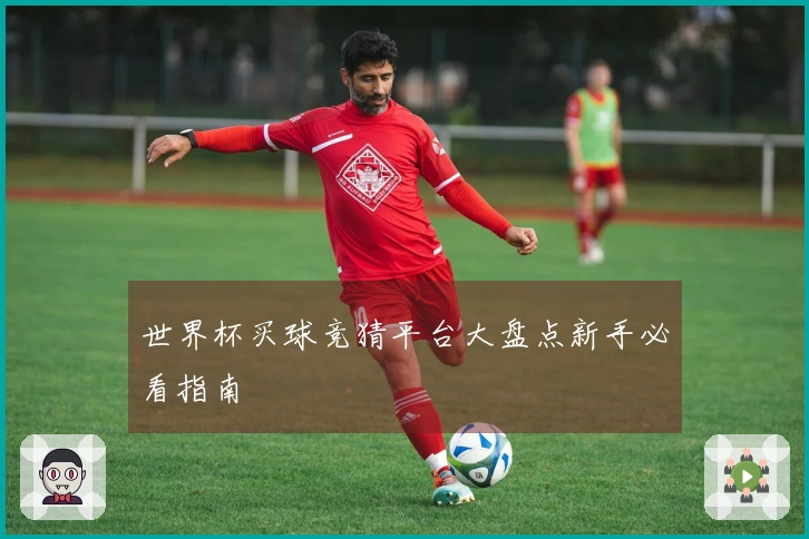 世界杯买球竞猜平台大盘点新手必看指南
