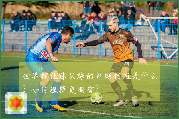 世界杯让球买球的判断标准是什么？如何选择更明智？