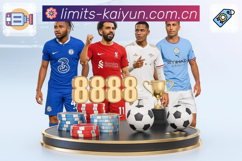 <strong>开云</strong>App 示例图